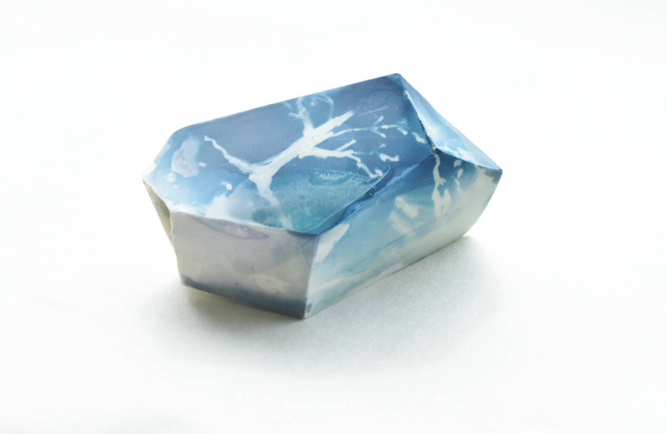 ワークショップ