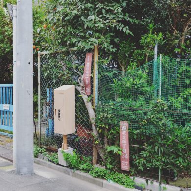ゼミの活動｜国際野外アート展 トロールの森2022「まちを象ること」